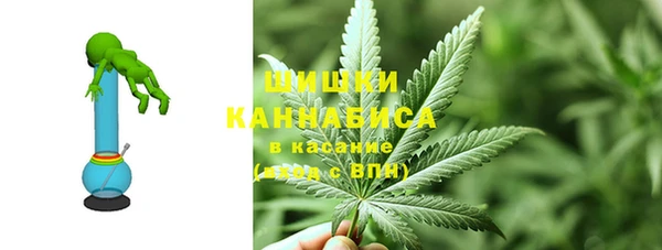 МДПВ Бронницы