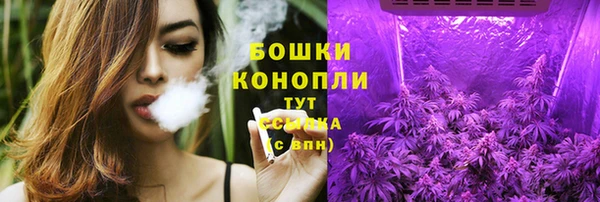 хмурый Верея