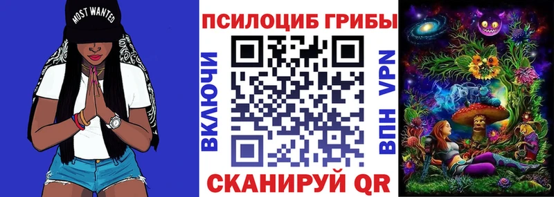 Псилоцибиновые грибы мухоморы  Шахты 